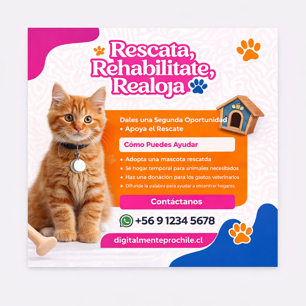 Veterinaria – Listas para Publicar, pack incluye 10 plantillas